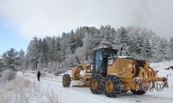 Yoğun kar yağışı doğuda hayatı durdurdu