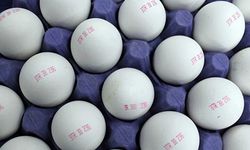 Yumurta kodları ne anlama geliyor? 0-1-2-3 numaralı yumurtaların farkları