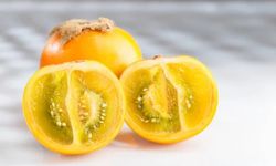 Yurt dışına çıkışı yasak olan eşsiz lezzet!