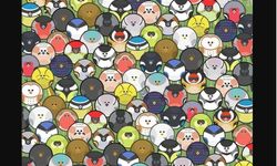 Optik illüzyonlu zeka testi: Saklı solucanı 5 saniyede bulabiliyor musunuz?