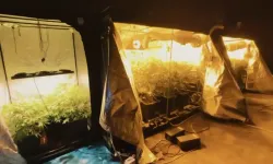 İzmir dahil 23 ilde operasyon! Milyonlarca hap ele geçirildi