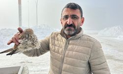 Dondurucu soğukların acı tablosu: Donarak can verdi