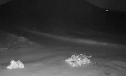 Aç kalan kurtlar Nevşehir’de köy içine indi