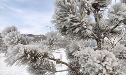 Doğu’da kış sert yüzünü gösterdi: Buz kesti!