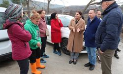 Başkan Fıçı hayvanseverlerle sahada