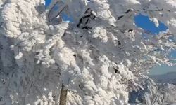 Çataldağ’da Sibirya’yı aratmayan kış manzarası