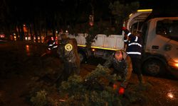 Çatılar uçtu, ağaçlar devrildi: Buca Belediyesi mesaiye başladı