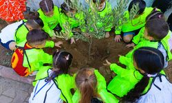 Şehit Üsteğmen Mehmet Sakallı AİHL | Yeşil Geleceğe Anlamlı Bir Adım: Bir Zeytin Masalı