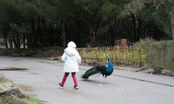 Çiğli Belediyesi’nden yarıyıl tatilinde çocuklara özel etkinlik
