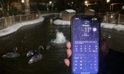 Dondurucu soğuk Ankara’yı sardı, Kuğulu Park buz tuttu