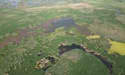 Son yağış can suyu oldu: Kiraz üreticisinin yüzü güldü!