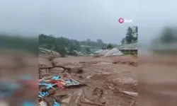 Heyelan felaketi! 7 ölü, 80'den fazla kayıp var