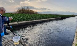 Gediz’i kirletenlere Bakanlıktan milyonluk ceza!