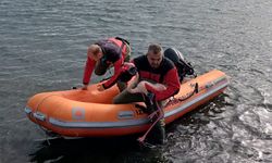 İtfaiye dalgıçlarından doğaya hayat veren operasyon