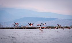 İZDENİZ yarıyıl tatiline özel etkinlik programı hazırladı