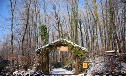Kar yağdı, Ormanya’nın çehresi tamamen değişti