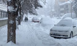 Kar yeniden bastırdı: Görüş mesafesi 20 metreye düştü
