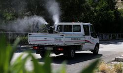 Karşıyaka’da kışa özel haşere mücadelesi başladı