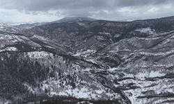 Kastamonu’da ormanlar kartpostala döndü