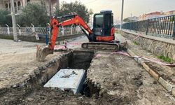 Foça'da kentin her noktasında sahadalar