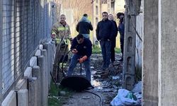 Manisa’da rögarda bebek ihbarı! Polis ve MASKİ harekete geçti