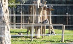 Menderes’te tatil eğlenceye dönüştü