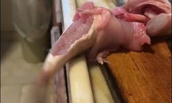 Mutfakta korku dolu anlar! Balık hareket etti, çorbayı içemedi