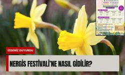 Nergis Festivali’ne nasıl gidilir? İZDENİZ seferleri tek tek paylaştı