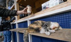 Öğrencilerin gözdesi oldu! İzmirli Kahve büyüyor