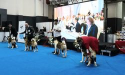 PET İZMİR 2026’ya 60 ülkeden ziyaretçi akını