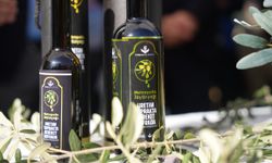 Torbalı’da zeytin hasadı markaya dönüştü