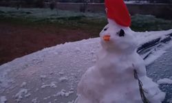 Urla beyaza büründü