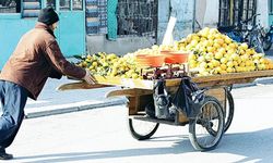 Valilik duyurdu: Seyyar satıcı ve ilaçlama firmalarına sıkı denetim!