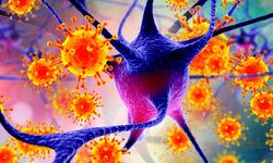 Yeni salgın mı geliyor? Grip gibi başlıyor, komaya sokuyor! DSÖ’den acil Nipah virüsü uyarısı