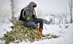 Yoğun kar altında hayat mücadelesi