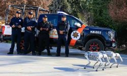 Meksika'da Dünya Kupası öncesi teknolojik önlem: Robot köpekler göreve başladı