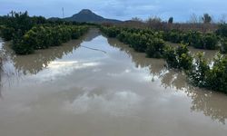 Adana’da tarlalar su altında: Çiftçi kayıkla tarlaya gitti