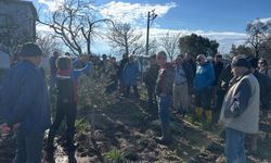 Aliağa’da üreticilere Zeytin Budama Eğitimi