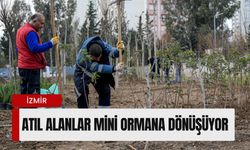 Atıl alanlar mini ormana dönüşüyor: Kent içinde binlerce ağaç toprakla buluştu