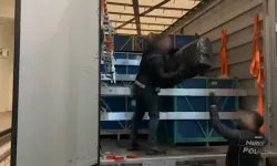 Bakan Yerlikaya duyurdu! 240 kilogram skunk ele geçirildi