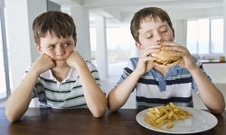 Beyne elektrik vererek bencillik silinebilir mi? Zürih Üniversitesi’nden çarpıcı araştırma