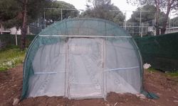 Çöp, toprakla buluştu: Bergama’da atıktan fideye dönüşüm