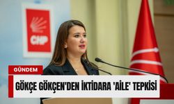 Gökçe Gökçen'den iktidara 'aile' tepkisi: 'Derdiniz kiminleyse onunla yarışın!'