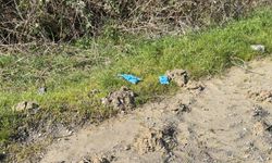 İstanbul'da kayıp Çinli iş insanına korkunç infaz!