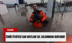 İzmir İtfaiyesi can dostları sel sularından botlarla kurtardı!