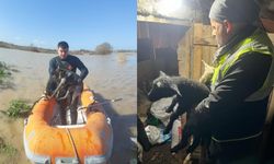 İzmir’de sağanakta yürek ısıtan görüntü: Hayvanları böyle kurtardılar