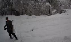 Kaçak avcılar artık fotokapandan kaçamıyor