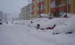 Kar yağışı Erzurum'u felç etti, okullar tatil, kar kalınlığı 50 santimetreyi geçti, bin 167 köy yolu ulaşıma kapalı