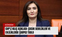 CHP'li Kılıç açıkladı: Çocuk gebelikleri ve evliliklerde çarpıcı tablo