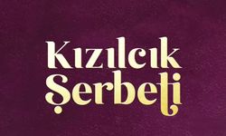 Kızılcık Şerbeti kadrosuna iki yeni karakter: Rukiye ve Yağız geliyor